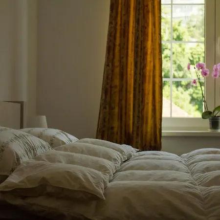 Avram Iancu Private With Ac Apartment
